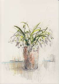 Vase of snowdrops no. 3