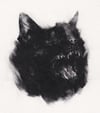 imsad (4x5, 0, 11x14 inches) fine art print