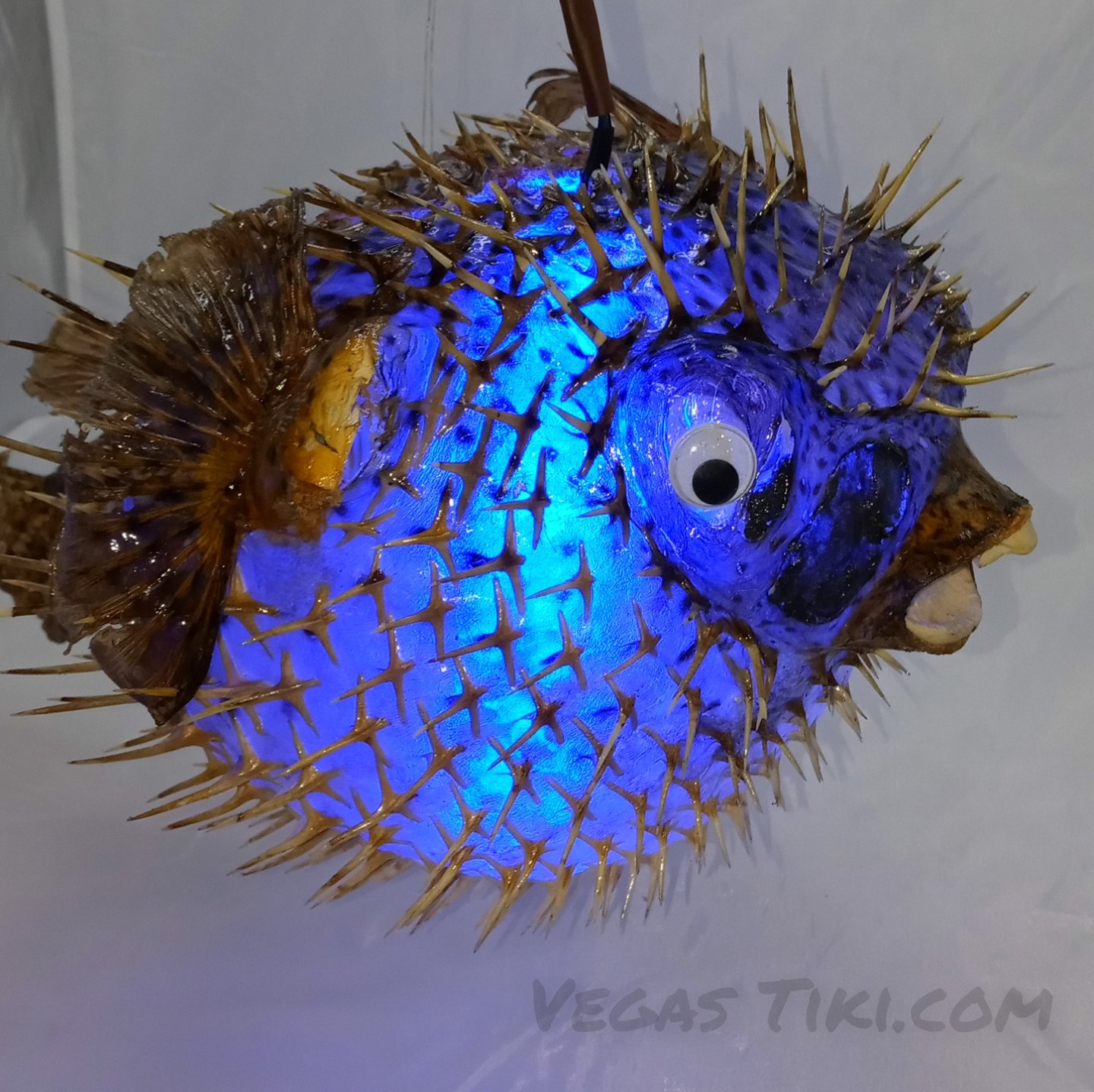 puffer fish lamp