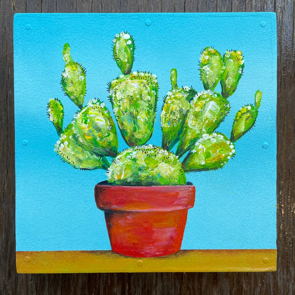Image of Tiny Cactus 2