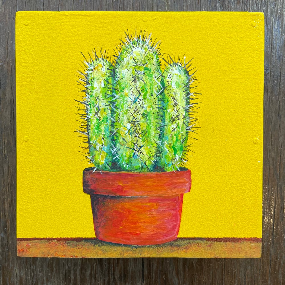 Image of Tiny Cactus 3