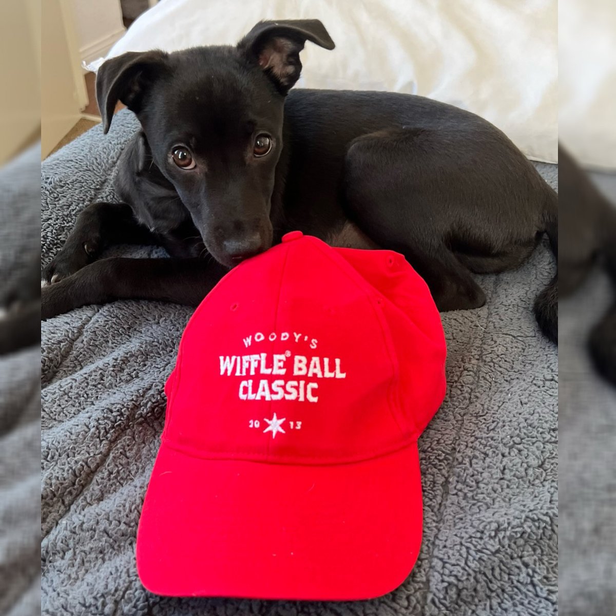 Wiffle ball best sale hat