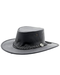 Image 1 of The Sundowner