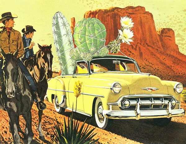 Image of Cactus Poachers. Limited edition collage print.