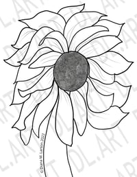 Image 2 of "Sunflower"