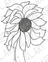 "Sunflower"