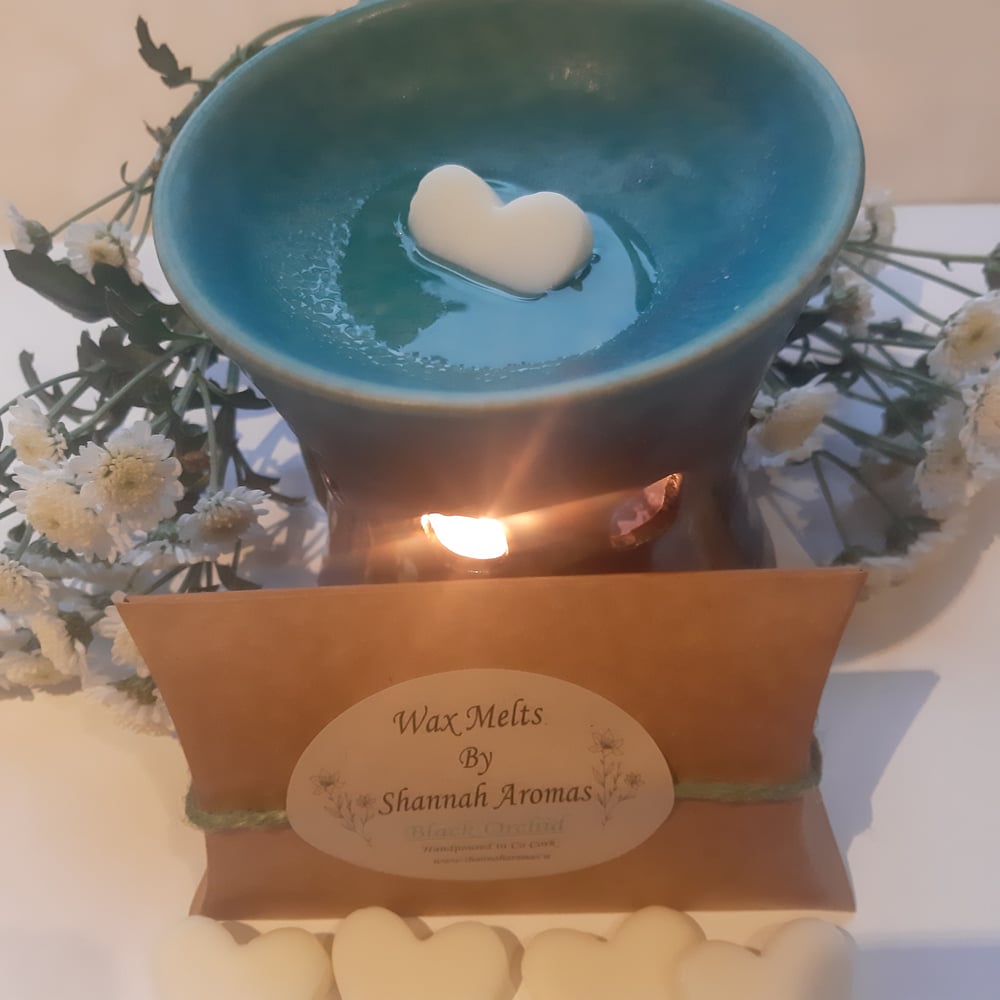 Image of WAX MELTS