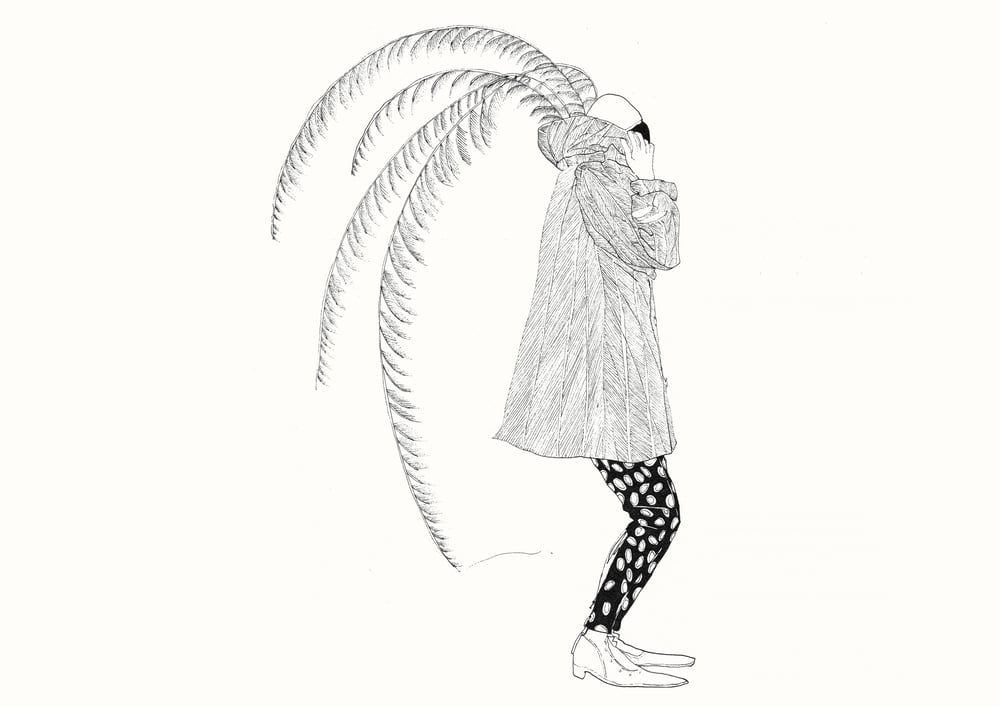Image of FEATHERED