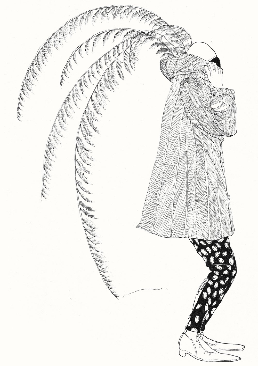 Image of FEATHERED