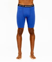 Image 2 of CULT OF INDIVIDUALITY 2 PACK BOXER BRIEF MULTI/ROYAL