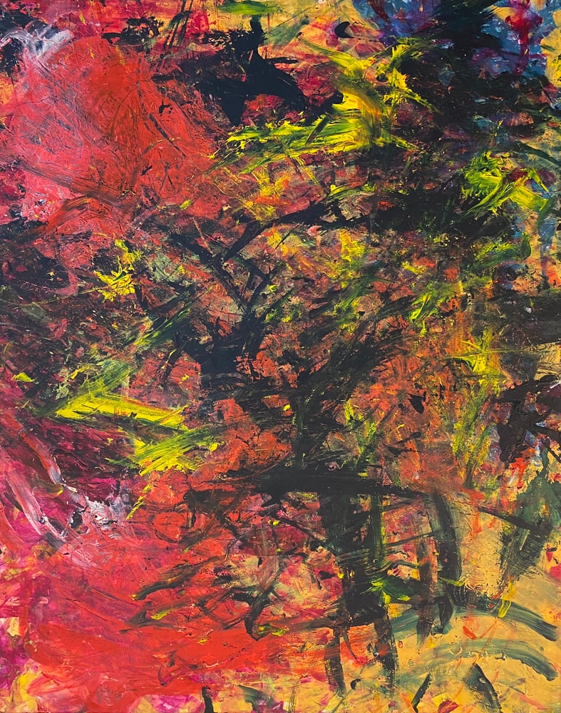 Image of 20X16_48