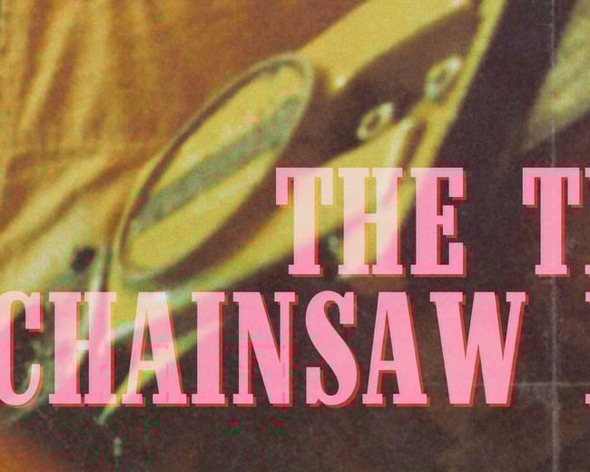 THE TEXAS CHAINSAW MASSACRE #3