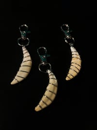 Image 4 of Wire Wrapped Coyote Tooth Keychain