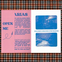 Image 2 of HYMNS & ARIAS / A LOVELETTER TO WALES