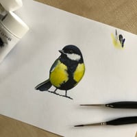 Image 5 of Gerald Great Tit ~ Removable Wall sticker