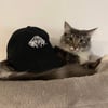DEATHCVRE Distress Dad Cap