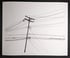 Power Lines Drawing #54 (Highland Park) - giclée print Image 2
