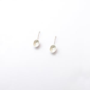 Polar Earrings