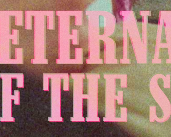 ETERNAL SUNSHINE OF THE SPOTLESS MIND #1