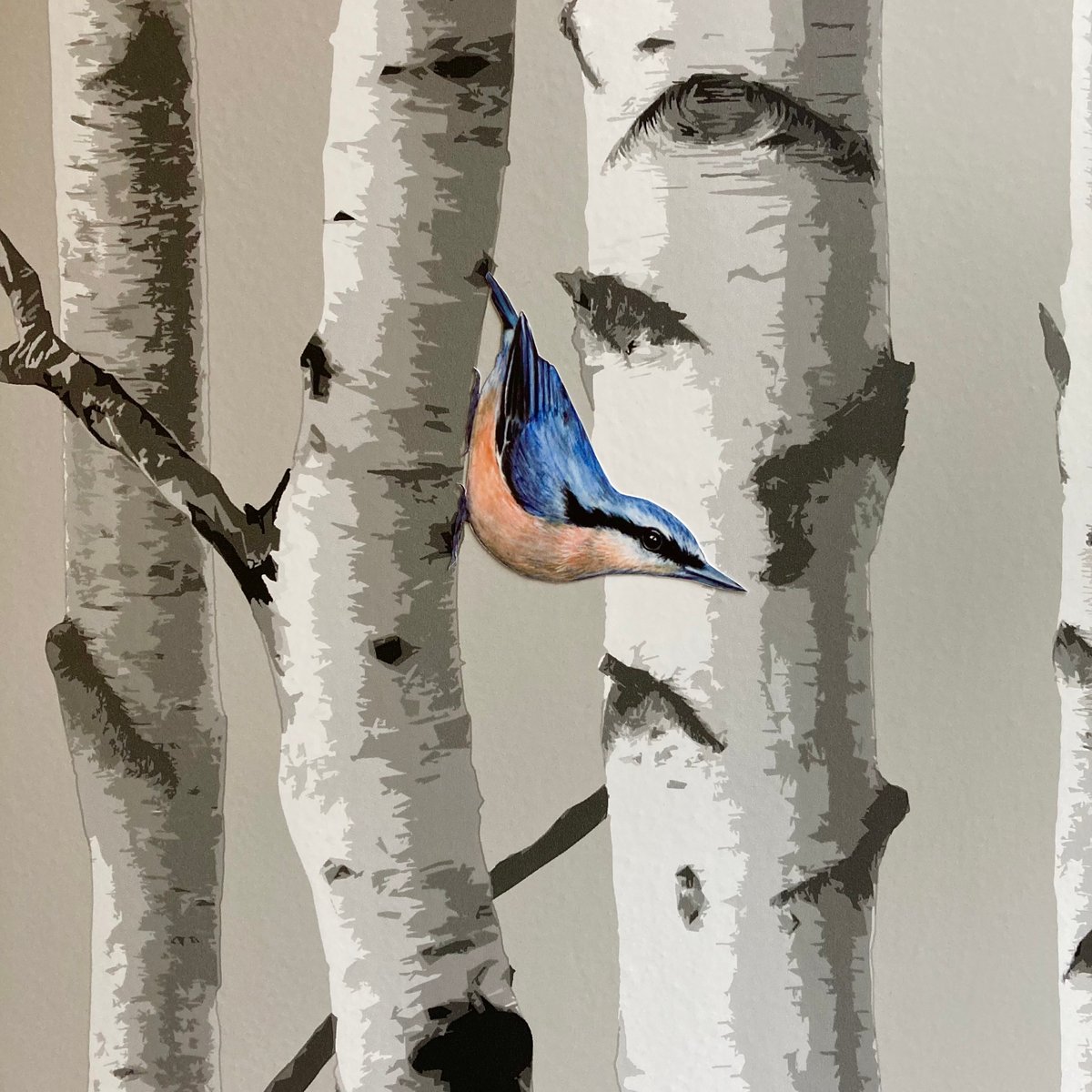 Image of Nigel Nuthatch ~ Removable Wall sticker