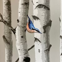 Image 3 of Nigel Nuthatch ~ Removable Wall sticker