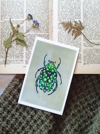 Image 5 of Entomology Postcard Set