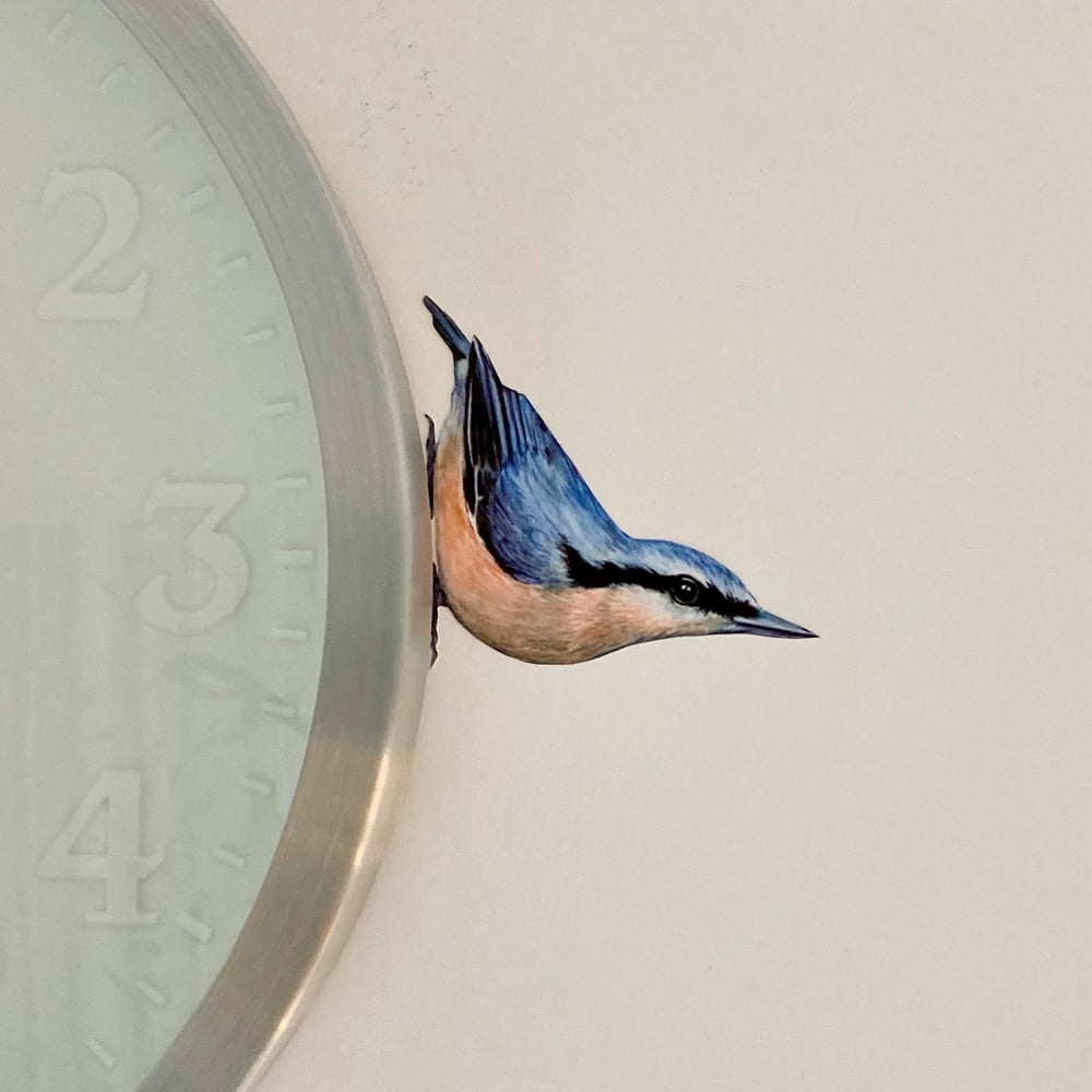 Image of Nigel Nuthatch ~ Removable Wall sticker