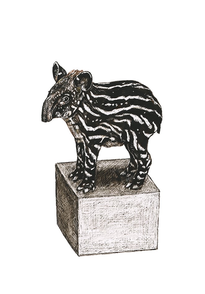 Fine art print | Tapir & Klotz