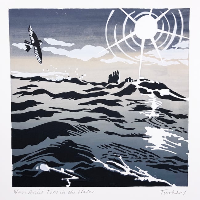 Wave Project Toes in the Water