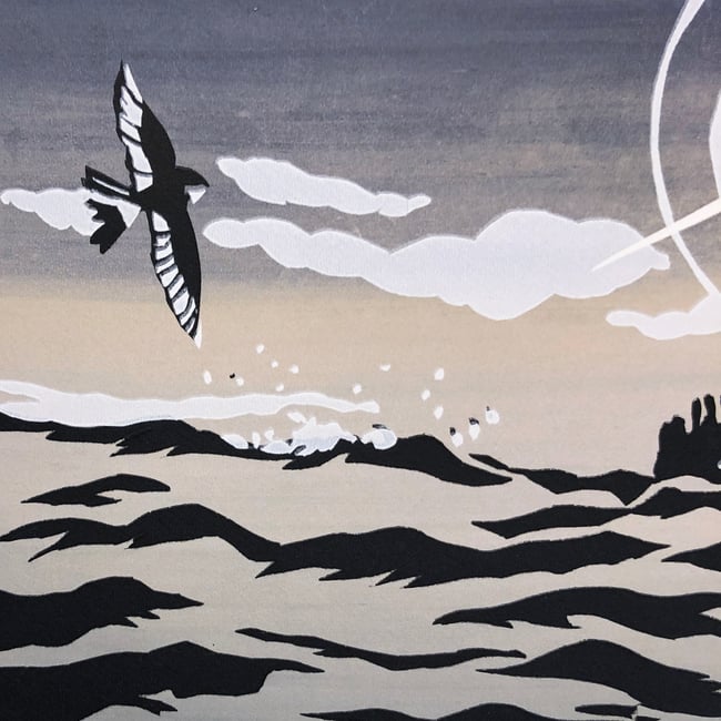 Wave Project Toes in the Water