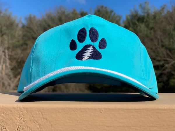 Image of Aqua GD Paw Hat