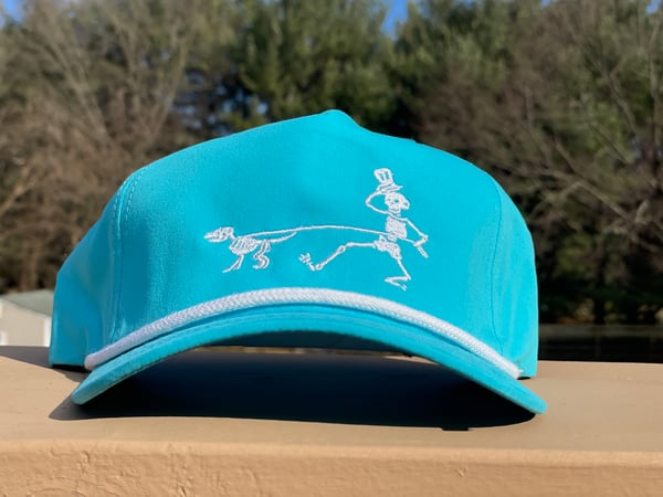 Image of Aqua Dancing Dog Walker Hat