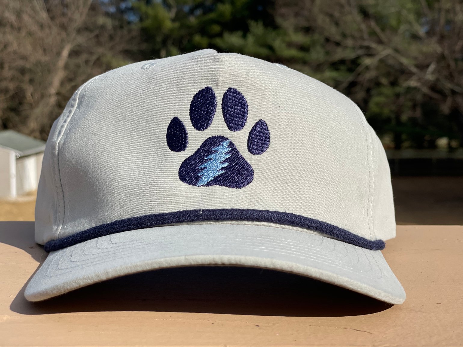 Image of Grey GD Paw Hat
