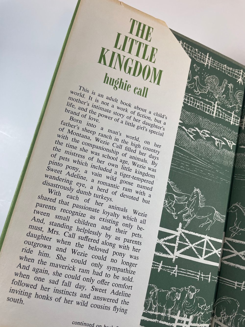 BK: The Little Kingdom by Hughie Call Signed 1st Ed 1st Printing HB