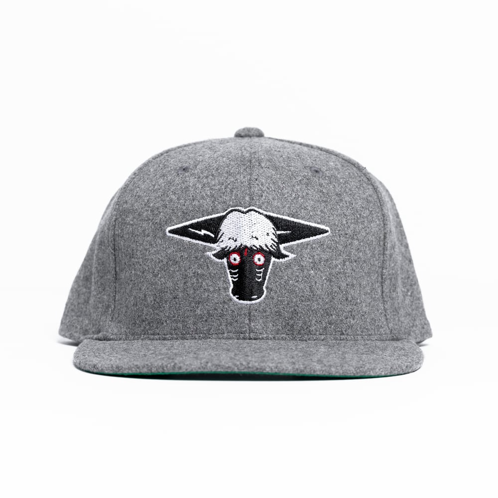 Image of  Torito Wool SnapBack Grey
