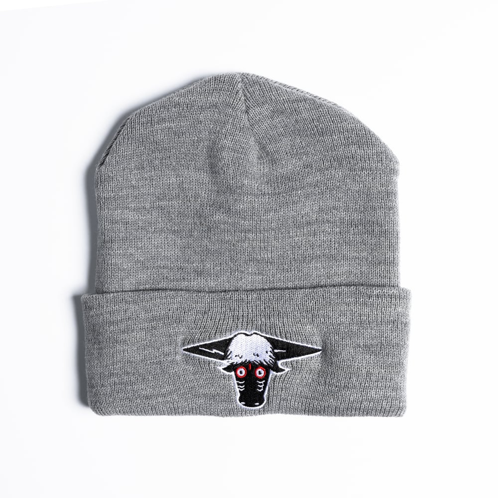 Image of Torito Beanie Gray