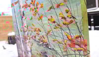 Image 4 of - Shoreline Birch -