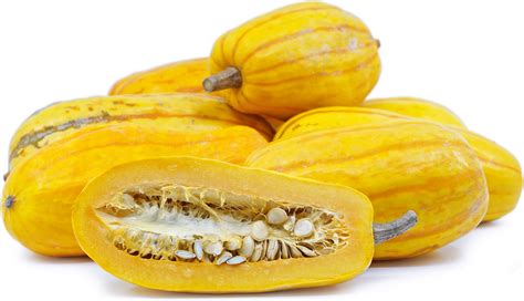 Image of Delicata (Organic Heirloom)