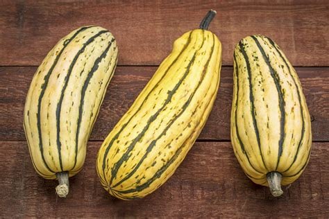 Image of Delicata (Organic Heirloom)