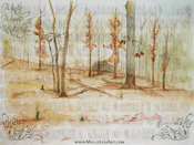 Image of Winter Woods of Kentucky - Desktop Wallpaper