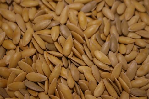 Image of Super Sweet Cantaloupe