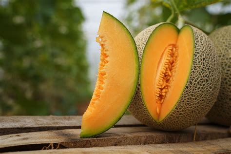 Image of Super Sweet Cantaloupe