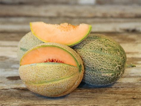 Image of Super Sweet Cantaloupe