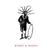Image of BIRDS & WIRES s/t 12" EP