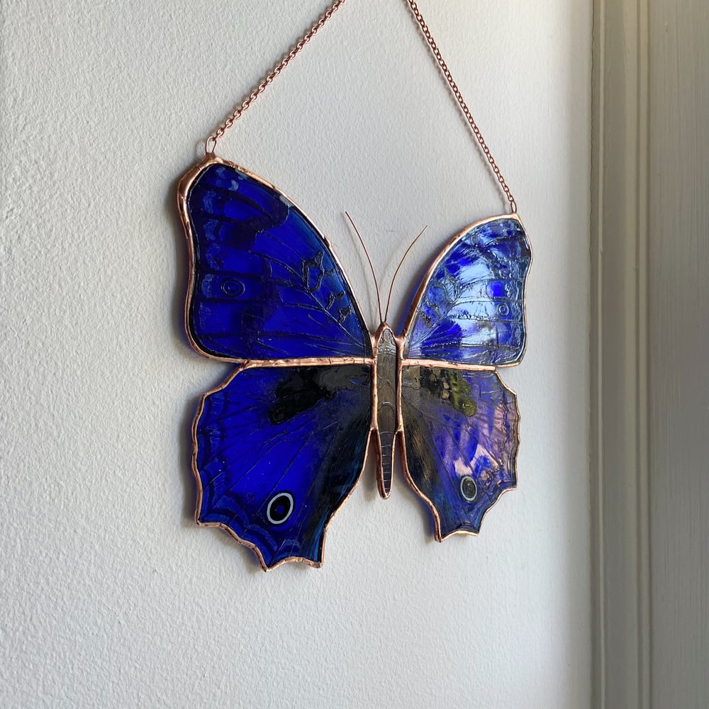 Image of Royal Blue Butterfly