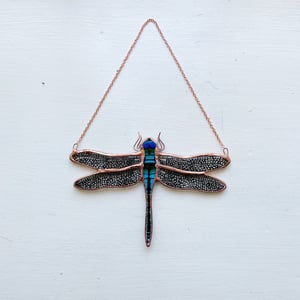 Image of Emerald Dragonfly