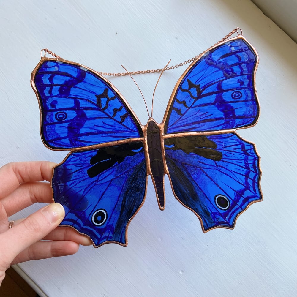 Image of Royal Blue Butterfly