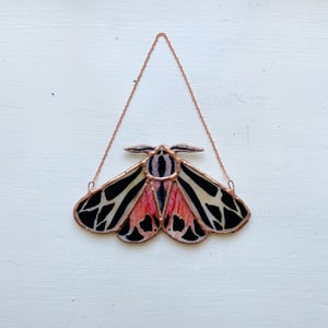 Image of Tiger Moth