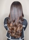 BROWN + HONEY BLONDE HIGHLIGHTED  WIG 