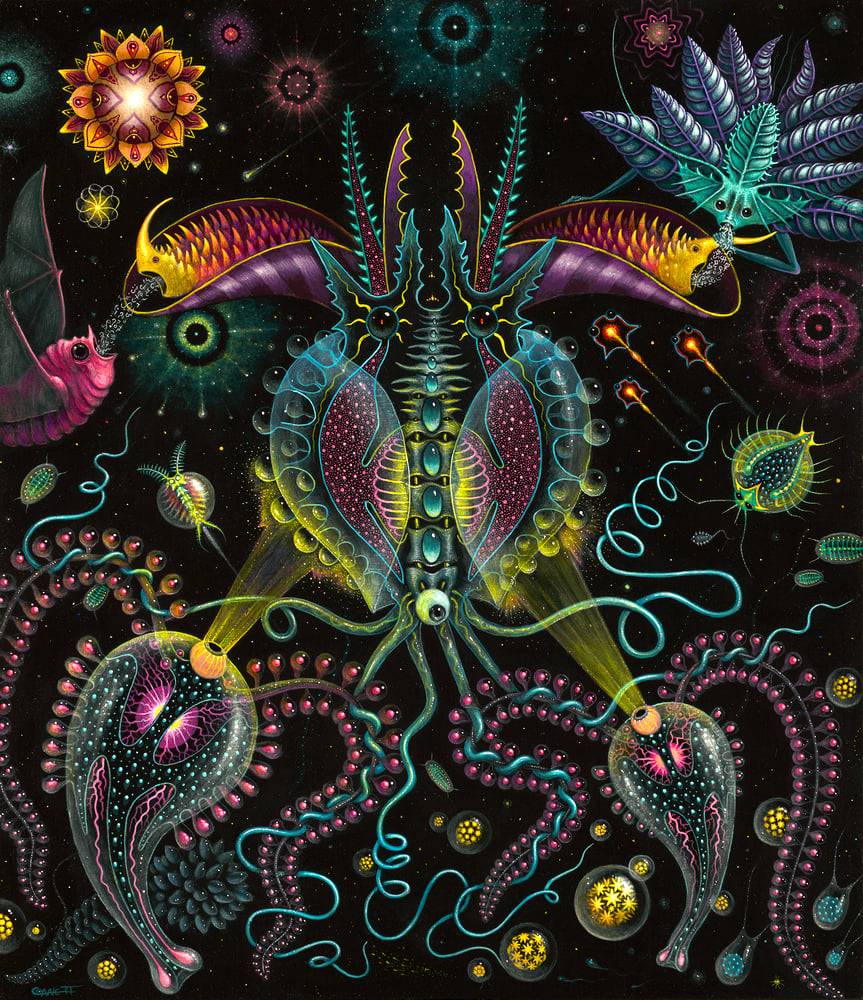 Image of SYMBIOSIS • Signed Open Edition
